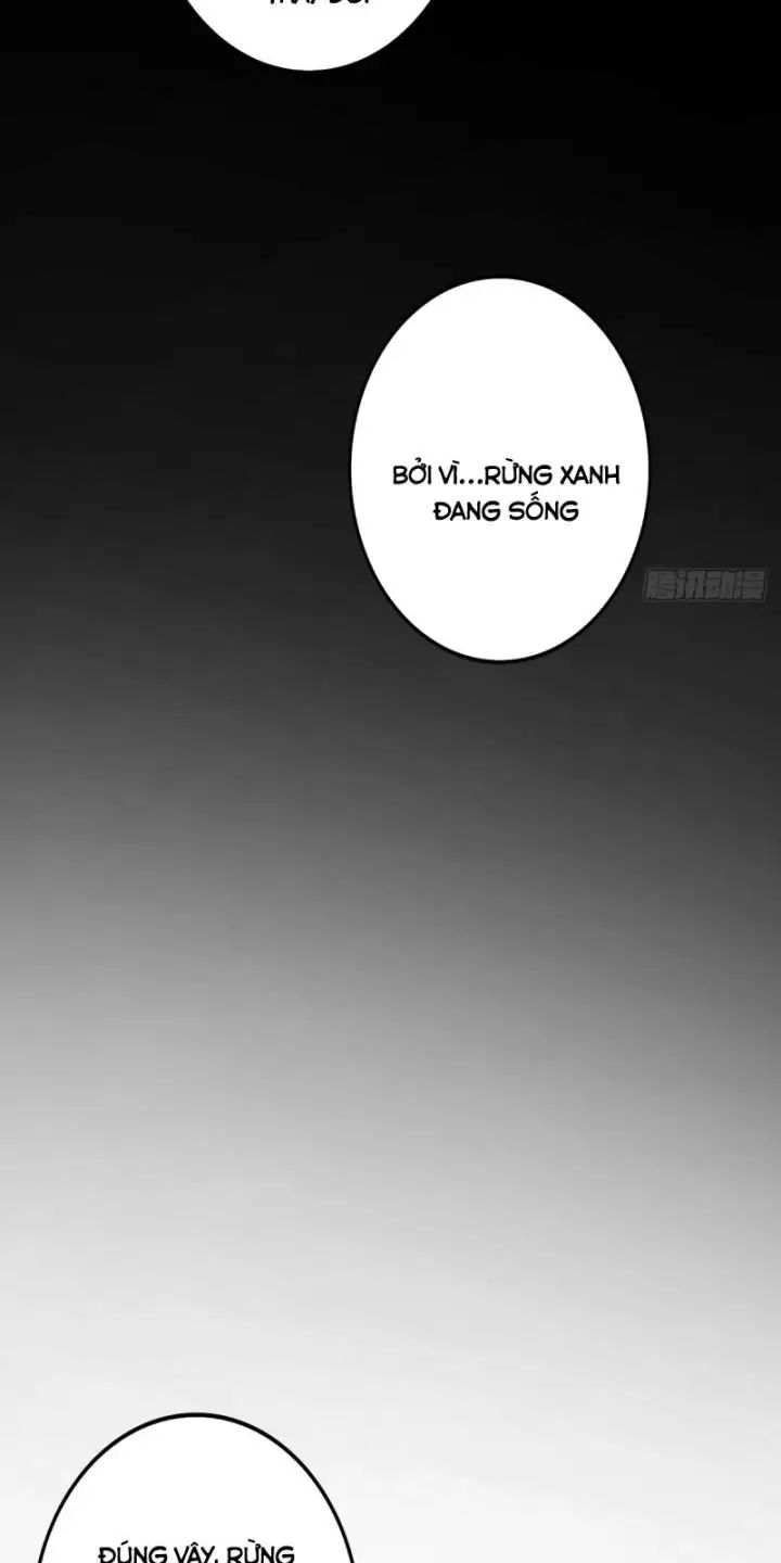 Ta, Chúa Tể Rừng Xanh: Chapter 3