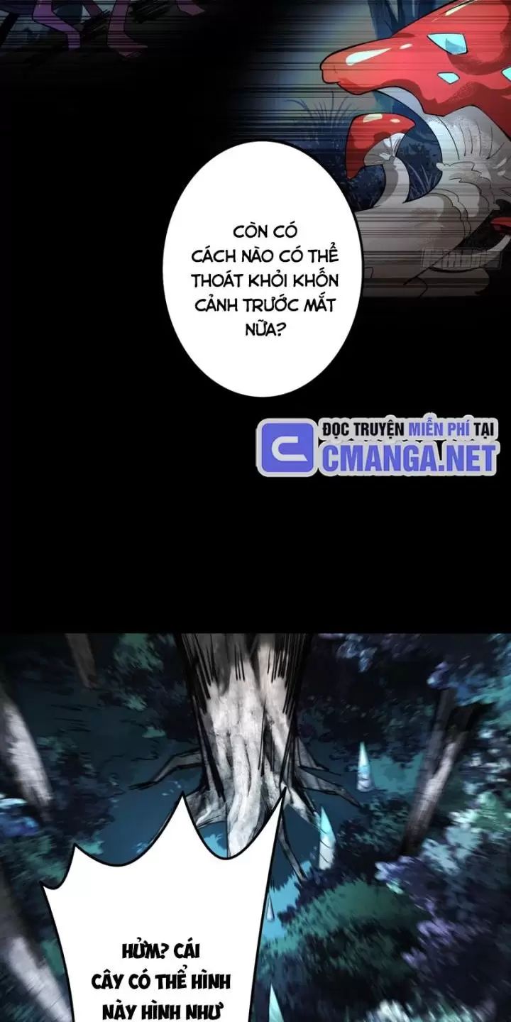 Ta, Chúa Tể Rừng Xanh: Chapter 3
