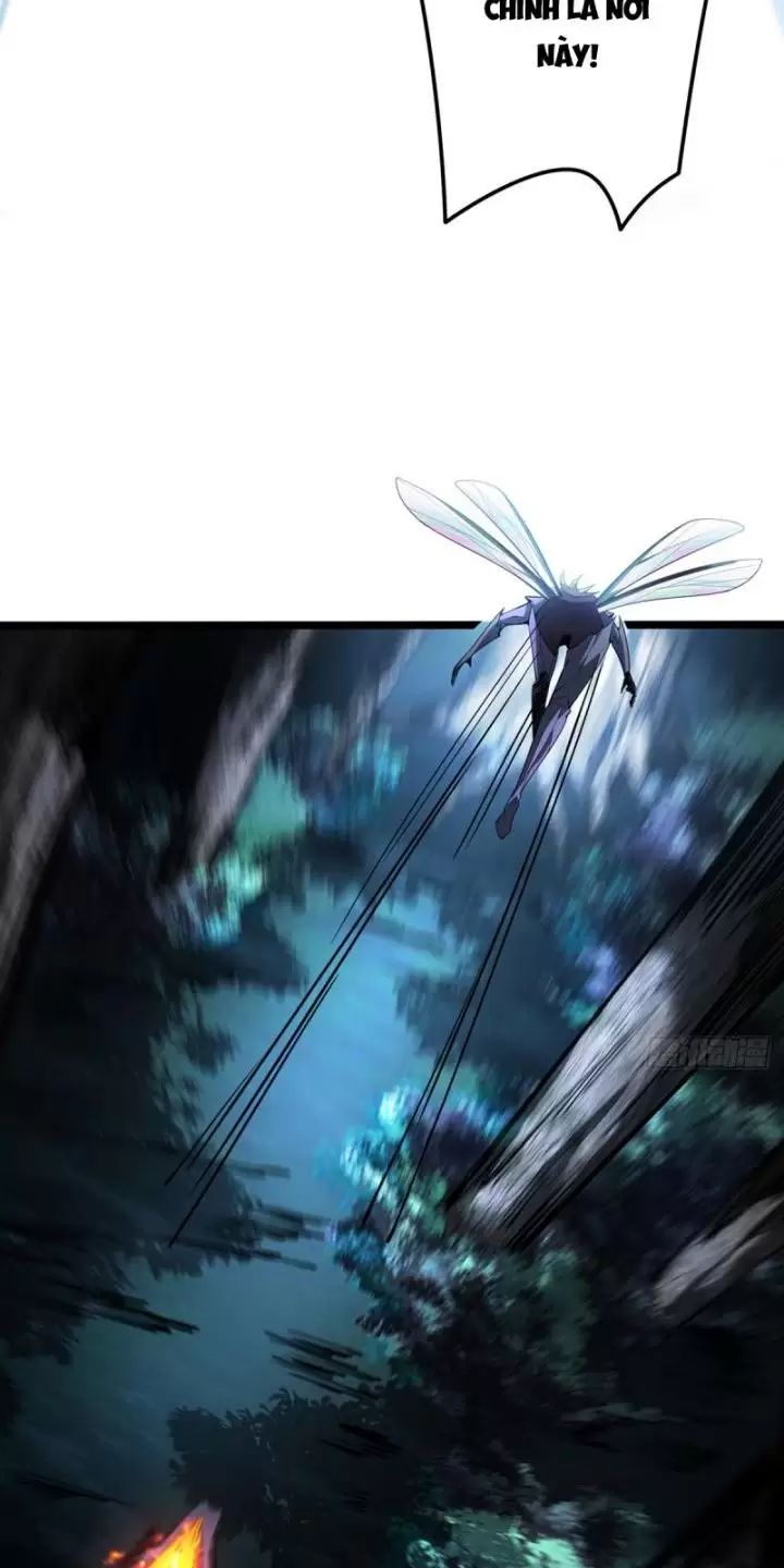 Ta, Chúa Tể Rừng Xanh: Chapter 3