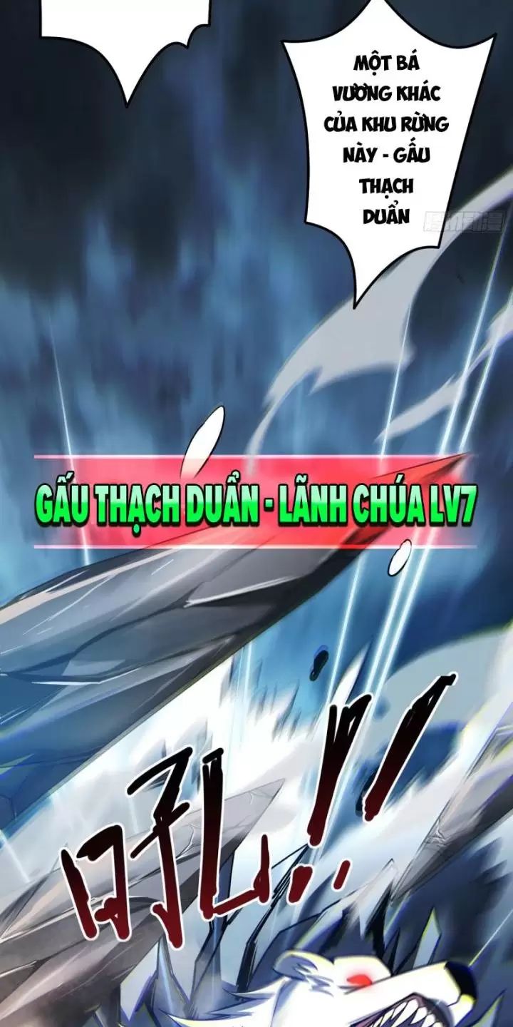 Ta, Chúa Tể Rừng Xanh: Chapter 3