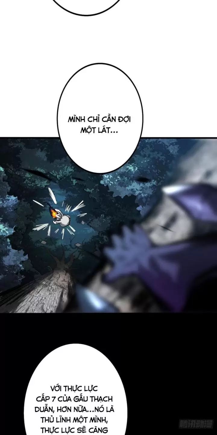 Ta, Chúa Tể Rừng Xanh: Chapter 3