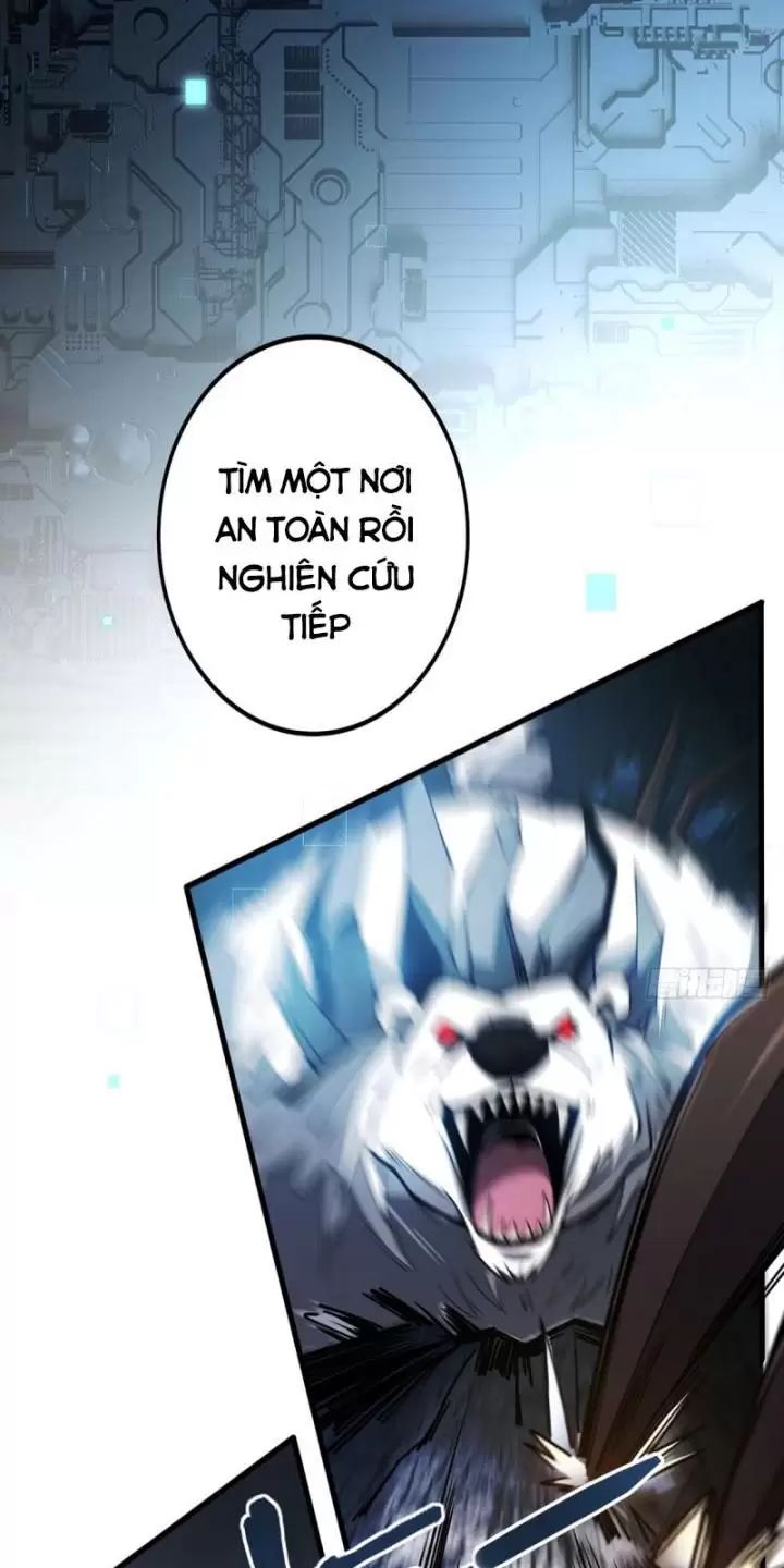 Ta, Chúa Tể Rừng Xanh: Chapter 3