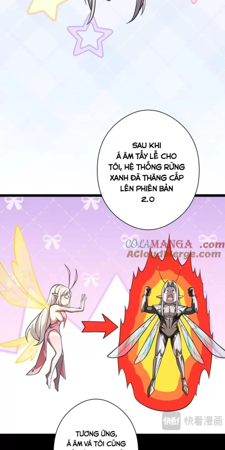 Ta, Chúa Tể Rừng Xanh: Chapter 32