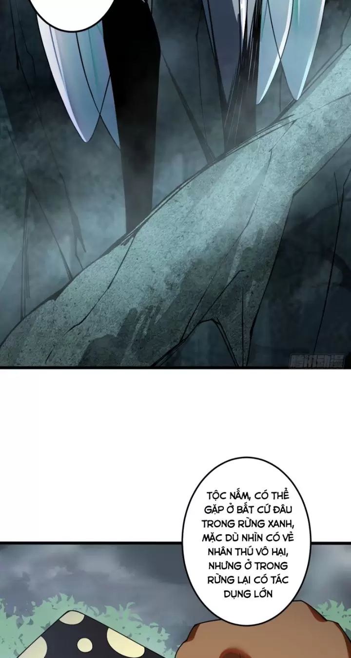 Ta, Chúa Tể Rừng Xanh: Chapter 6