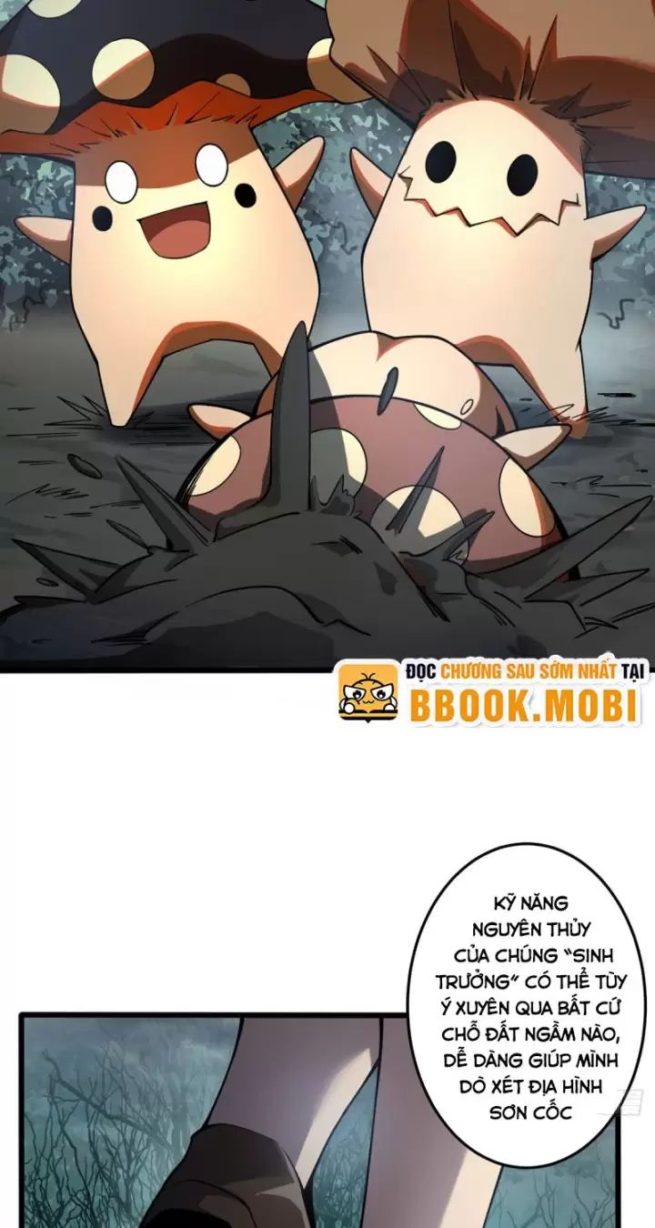 Ta, Chúa Tể Rừng Xanh: Chapter 6