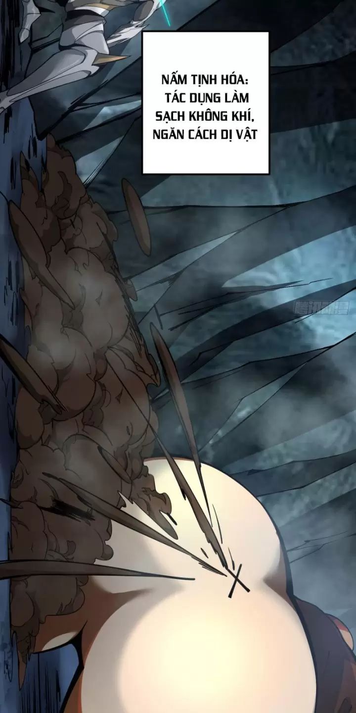 Ta, Chúa Tể Rừng Xanh: Chapter 6