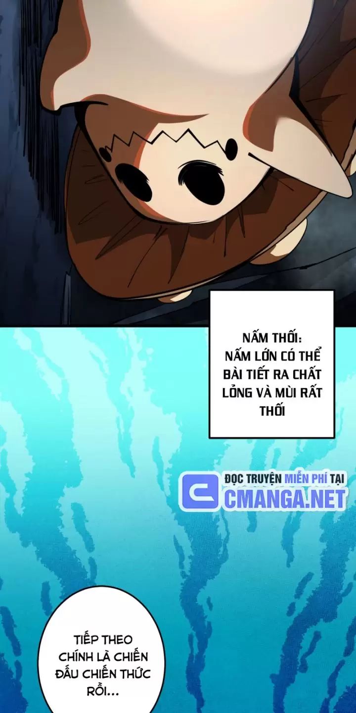 Ta, Chúa Tể Rừng Xanh: Chapter 6