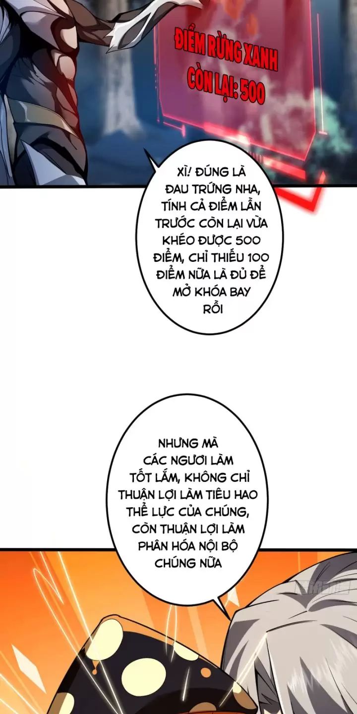 Ta, Chúa Tể Rừng Xanh: Chapter 6