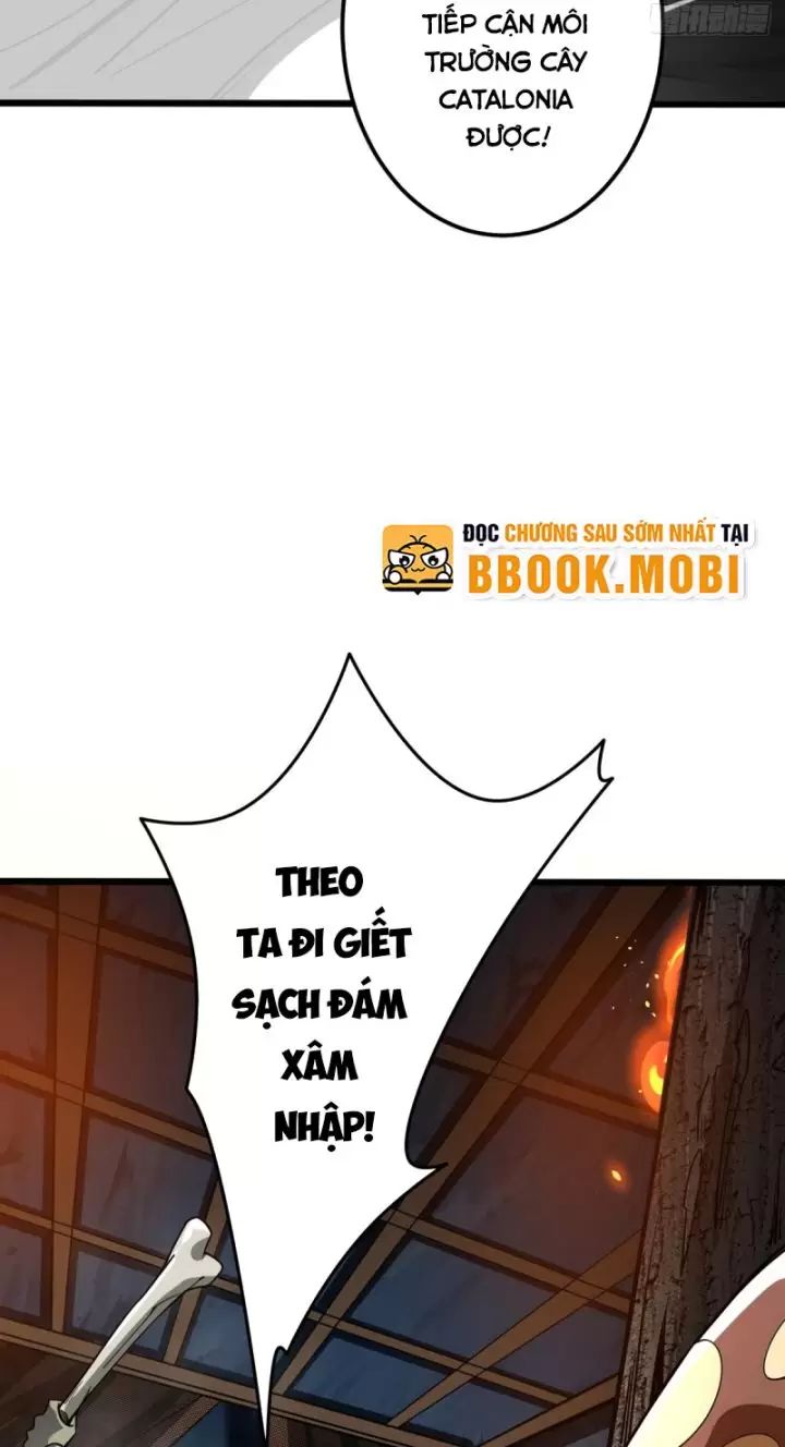 Ta, Chúa Tể Rừng Xanh: Chapter 6