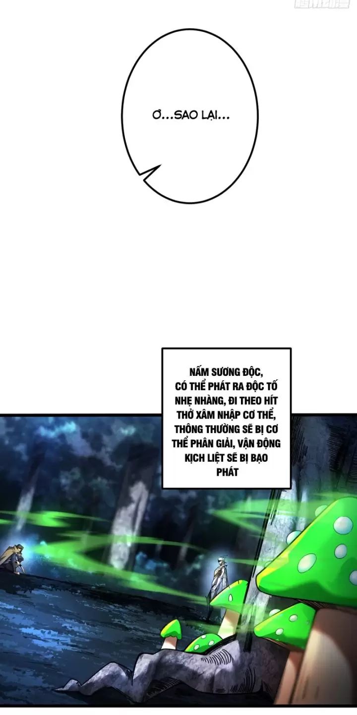 Ta, Chúa Tể Rừng Xanh: Chapter 8