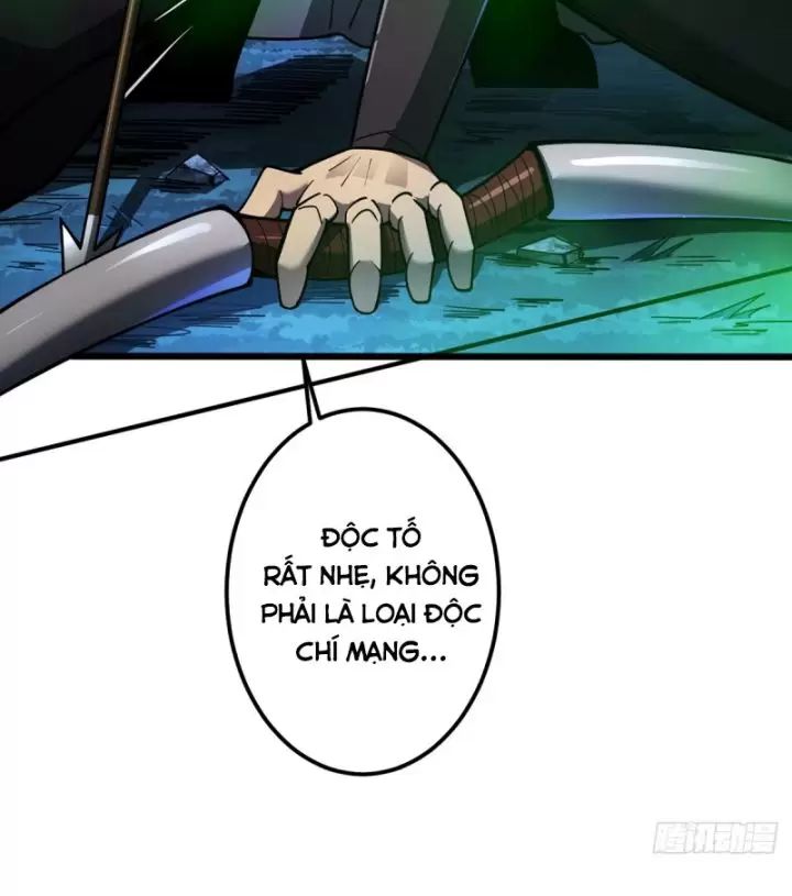Ta, Chúa Tể Rừng Xanh: Chapter 8