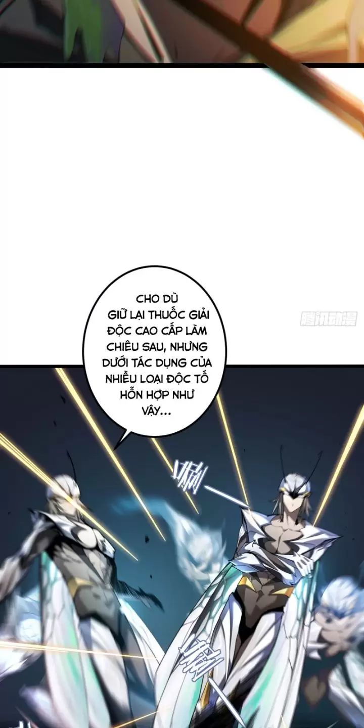 Ta, Chúa Tể Rừng Xanh: Chapter 8