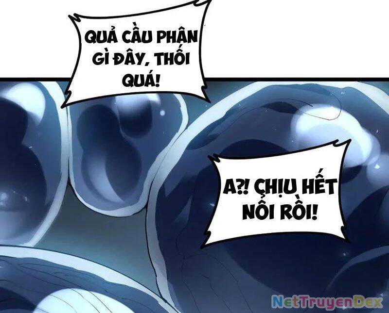 Ta Là Chúa Tể Trùng Độc: Chapter 40
