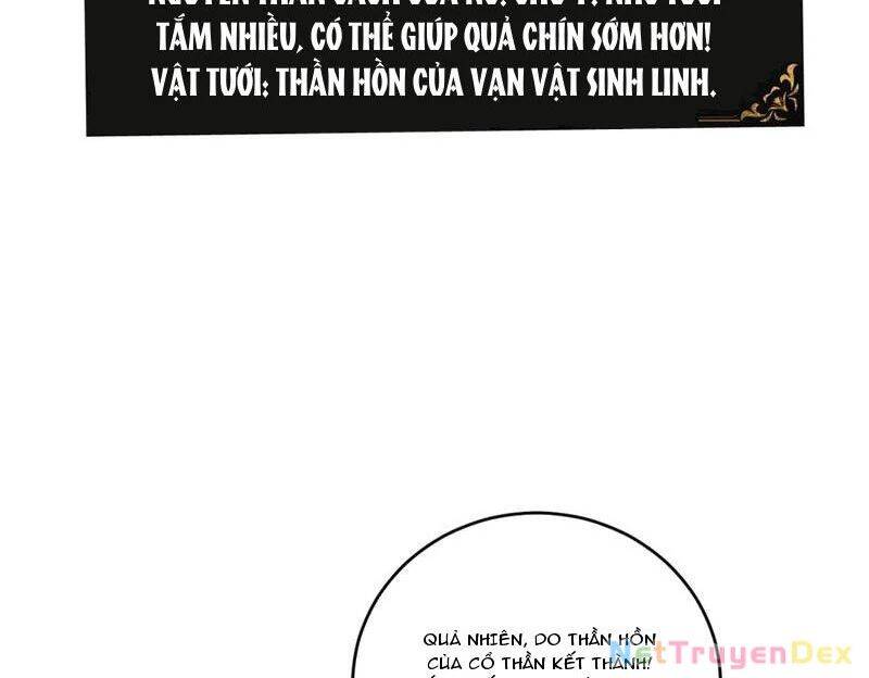 Ta Là Chúa Tể Trùng Độc: Chapter 40