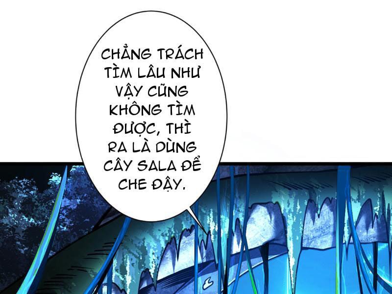 Ta Là Chúa Tể Tùng Lâm: Chapter 11