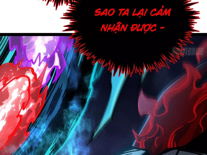Ta Làm Súc Vật Ở Tu Tiên Giới: Chapter 22