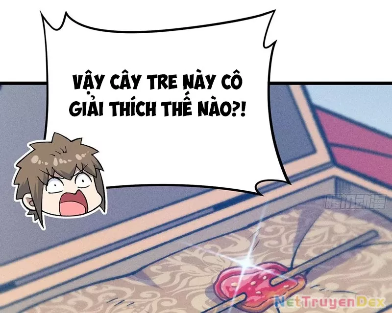 Ta Làm Súc Vật Ở Tu Tiên Giới: Chapter 29