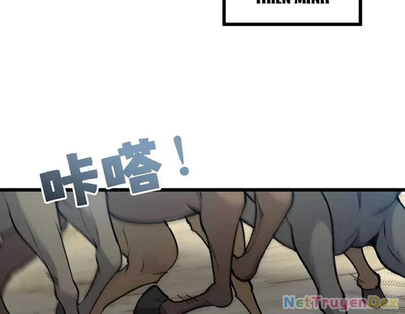 Ta Làm Súc Vật Ở Tu Tiên Giới: Chapter 30