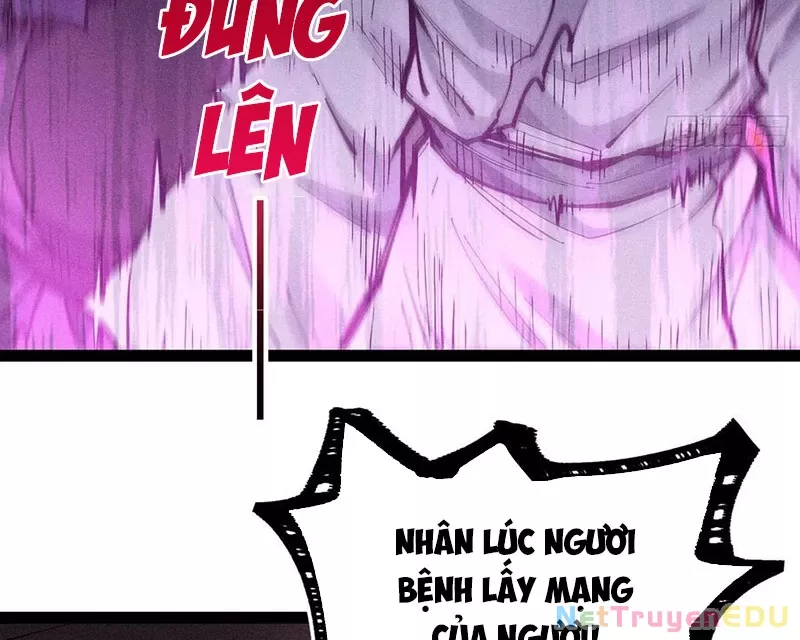 Ta Làm Súc Vật Ở Tu Tiên Giới: Chapter 35
