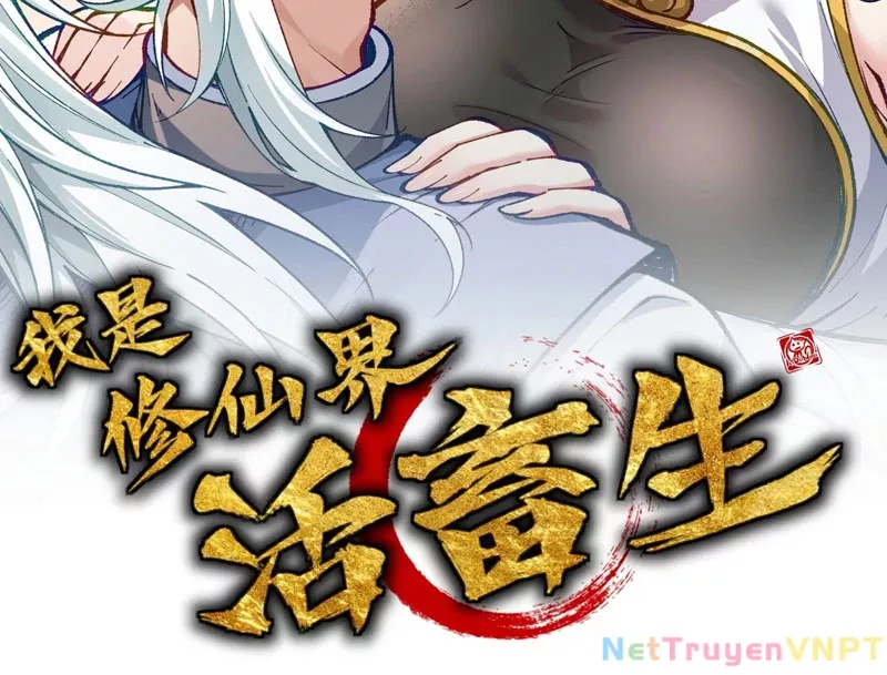 Ta Làm Súc Vật Ở Tu Tiên Giới: Chapter 41