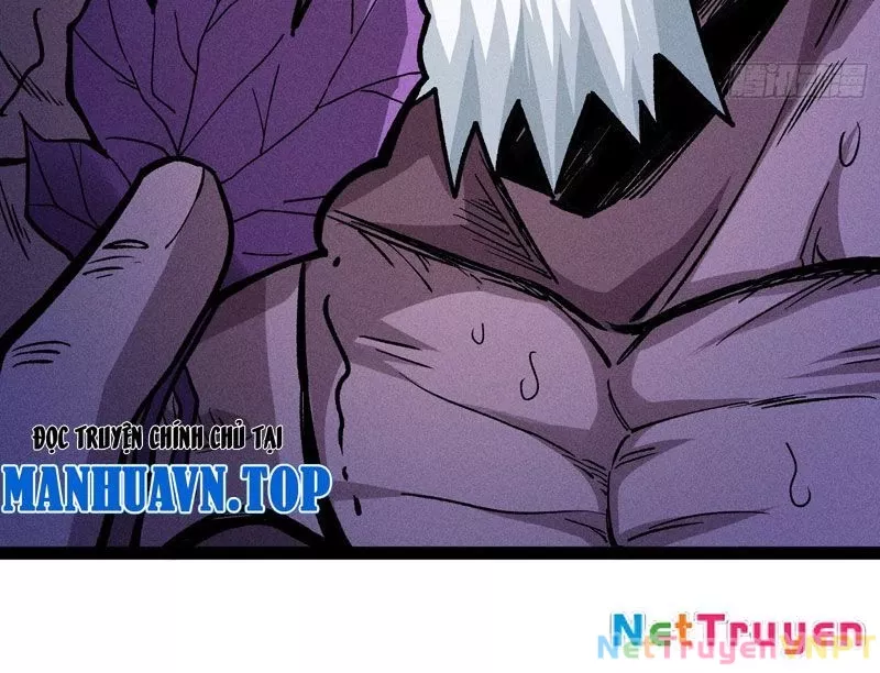 Ta Làm Súc Vật Ở Tu Tiên Giới: Chapter 41