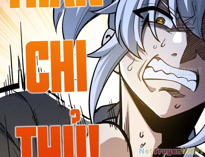 Ta Làm Súc Vật Ở Tu Tiên Giới: Chapter 41