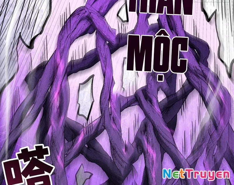 Ta Làm Súc Vật Ở Tu Tiên Giới: Chapter 48