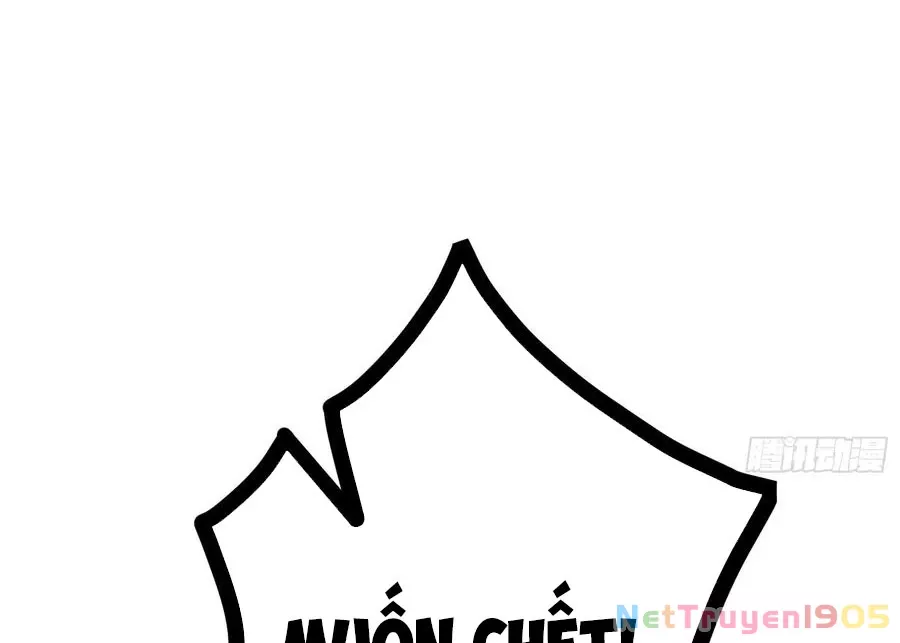 Ta Làm Súc Vật Ở Tu Tiên Giới: Chapter 52