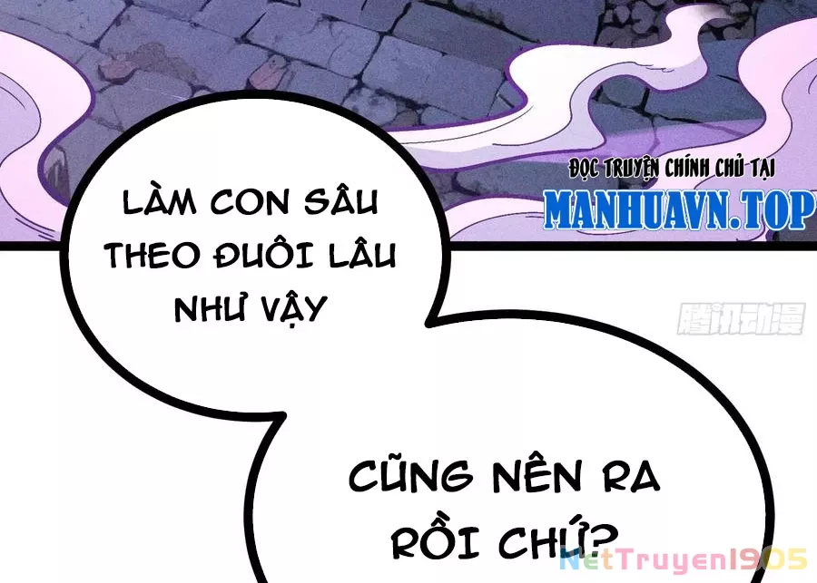 Ta Làm Súc Vật Ở Tu Tiên Giới: Chapter 52