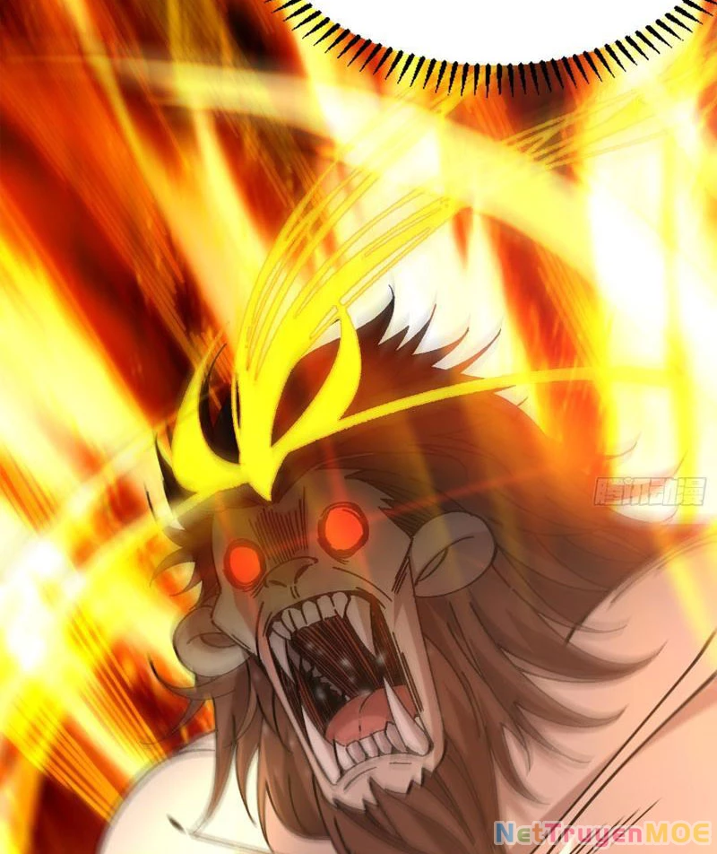 Ta Nhờ Đồ Đệ Kéo Dài Tính Mạng: Chapter 1