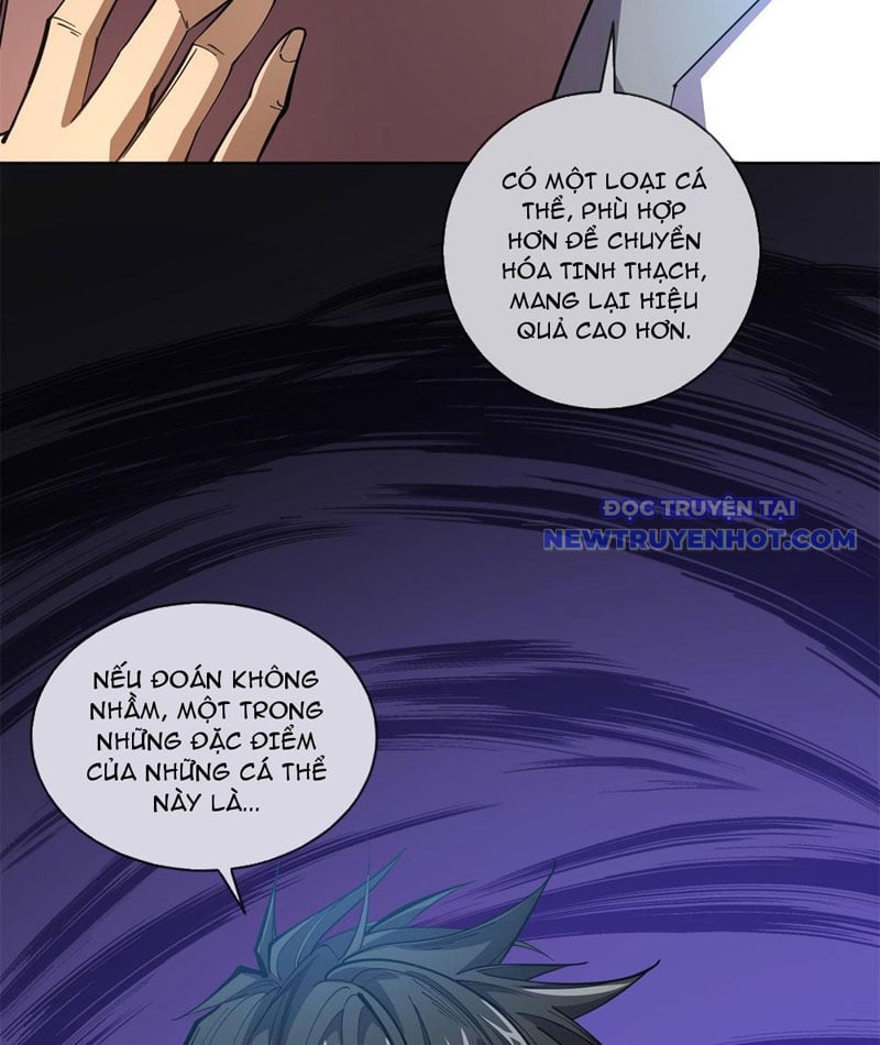 Ta Thành Vương Giả Từ Khắc Kim: Chapter 13