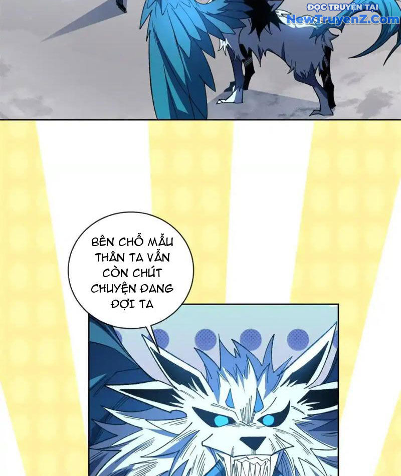 Ta Thành Vương Giả Từ Khắc Kim: Chapter 19