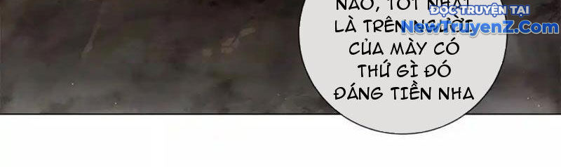 Ta Thành Vương Giả Từ Khắc Kim: Chapter 22