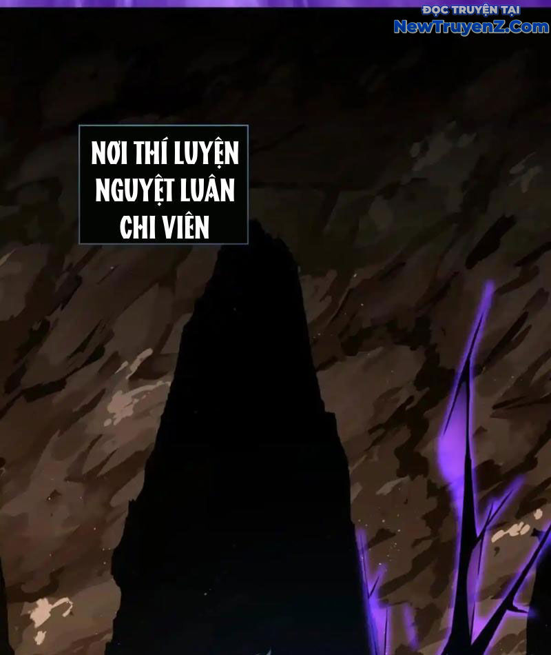 Ta Thành Vương Giả Từ Khắc Kim: Chapter 23