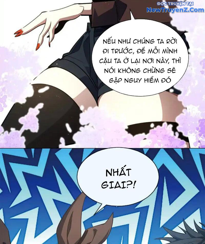 Ta Thành Vương Giả Từ Khắc Kim: Chapter 24