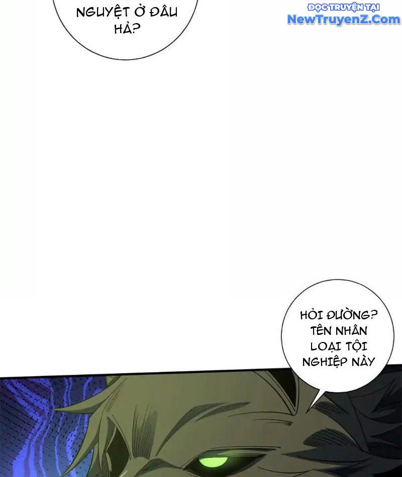 Ta Thành Vương Giả Từ Khắc Kim: Chapter 24