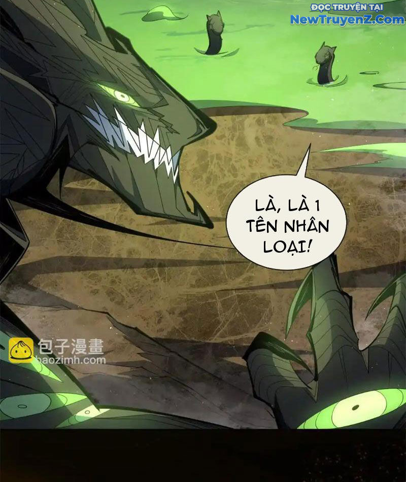 Ta Thành Vương Giả Từ Khắc Kim: Chapter 24