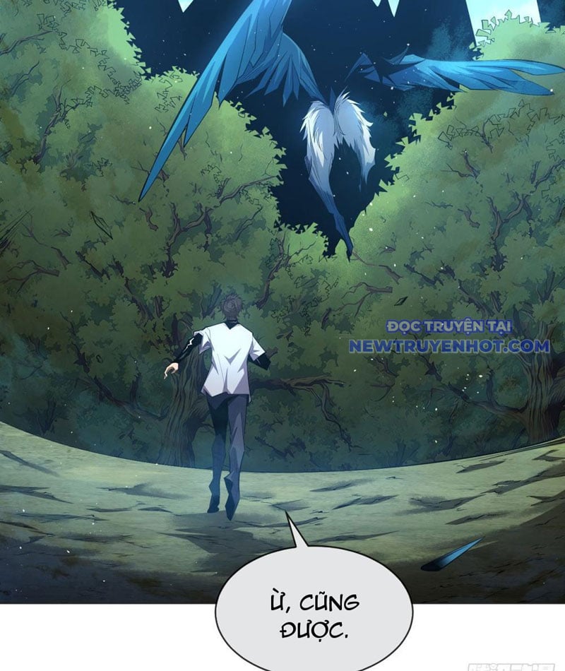 Ta Thành Vương Giả Từ Khắc Kim: Chapter 4