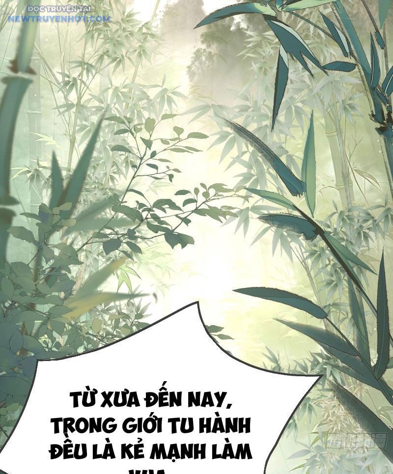 Ta Thực Sự Không Có Hứng Tu Tiên: Chapter 1