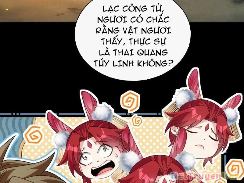 Ta Thực Sự Không Có Hứng Tu Tiên: Chapter 37