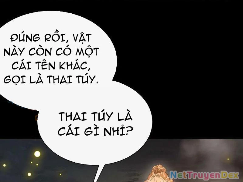 Ta Thực Sự Không Có Hứng Tu Tiên: Chapter 37