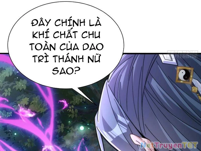 Ta Thực Sự Không Có Hứng Tu Tiên: Chapter 45