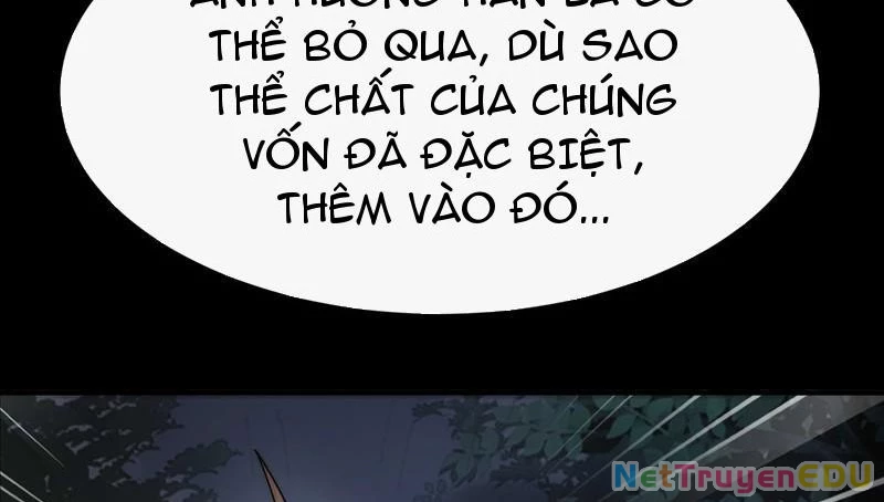 Ta Thực Sự Không Có Hứng Tu Tiên: Chapter 48