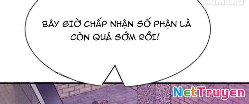 Ta Vô Địch Phản Sáo Lộ: Chapter 45