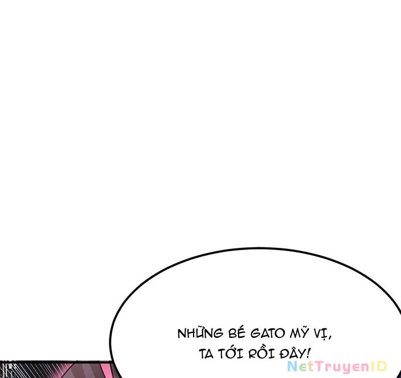 Ta Vô Địch Phản Sáo Lộ: Chapter 46