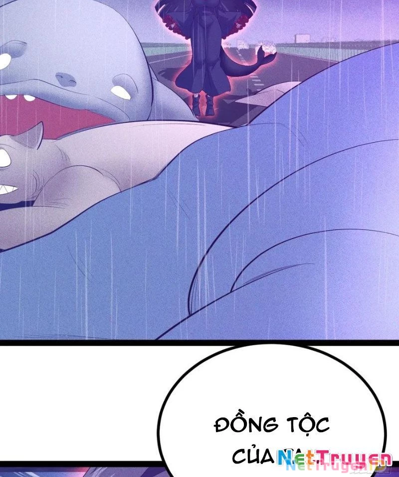 Ta Vô Địch Phản Sáo Lộ: Chapter 62