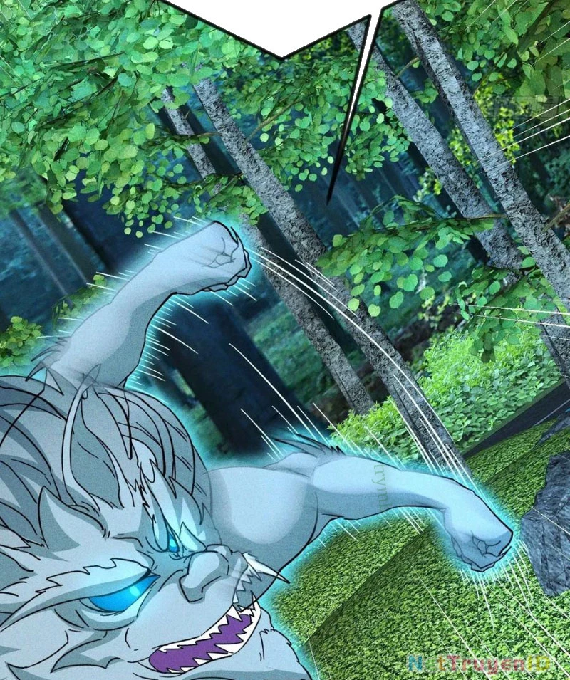 Ta Vô Địch Phản Sáo Lộ: Chapter 62