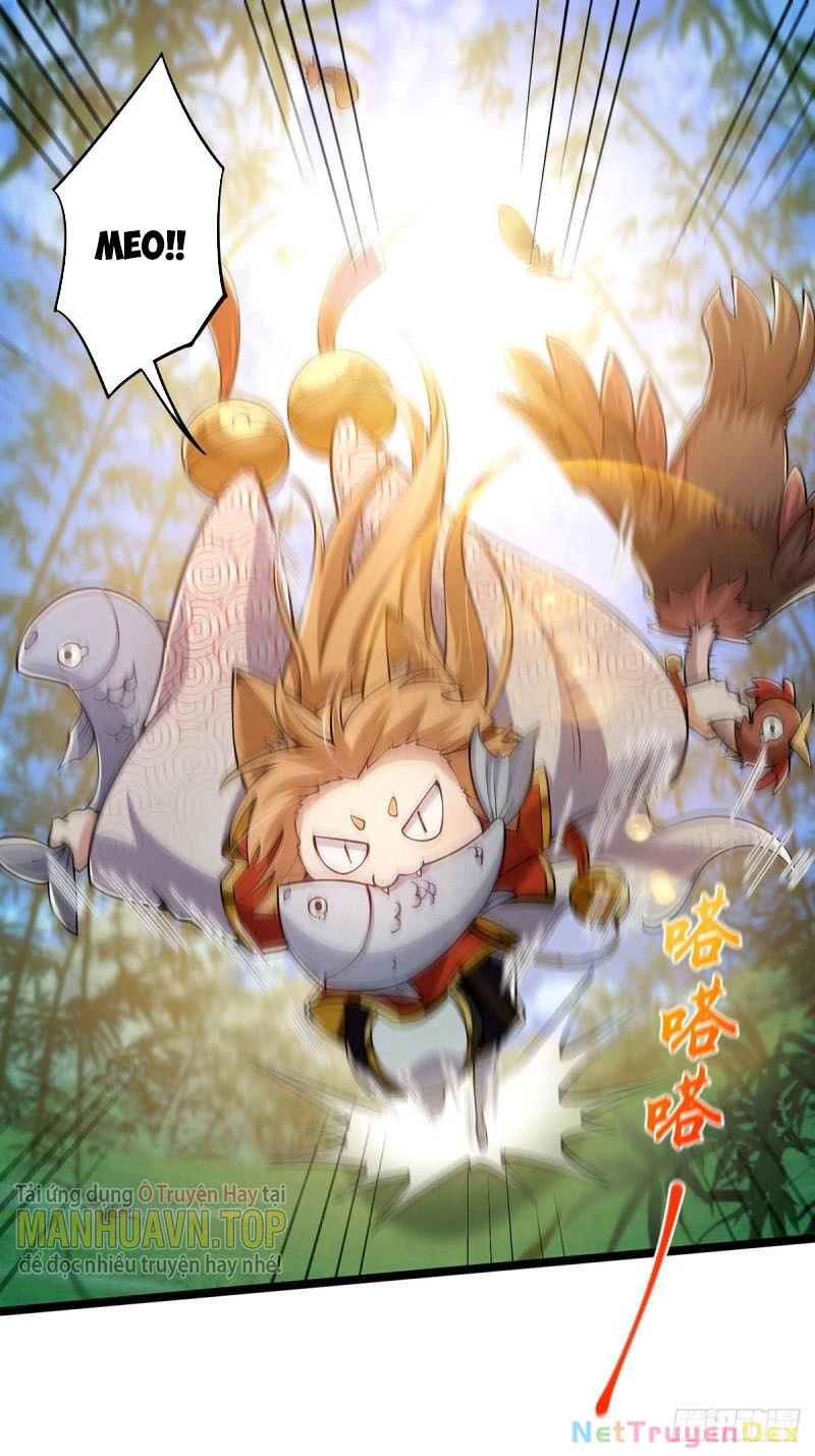 Ta Xuyên Không Với Max Điểm Mị Lực: Chapter 22