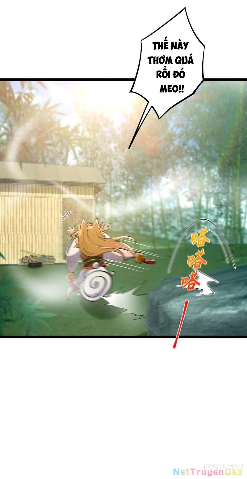 Ta Xuyên Không Với Max Điểm Mị Lực: Chapter 22