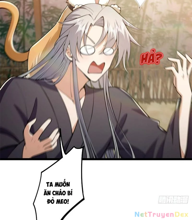 Ta Xuyên Không Với Max Điểm Mị Lực: Chapter 36